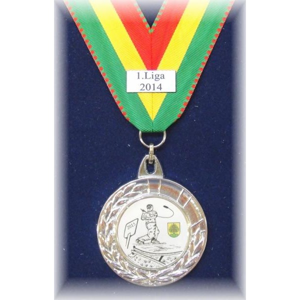 Medaille Bild-Logo farbig