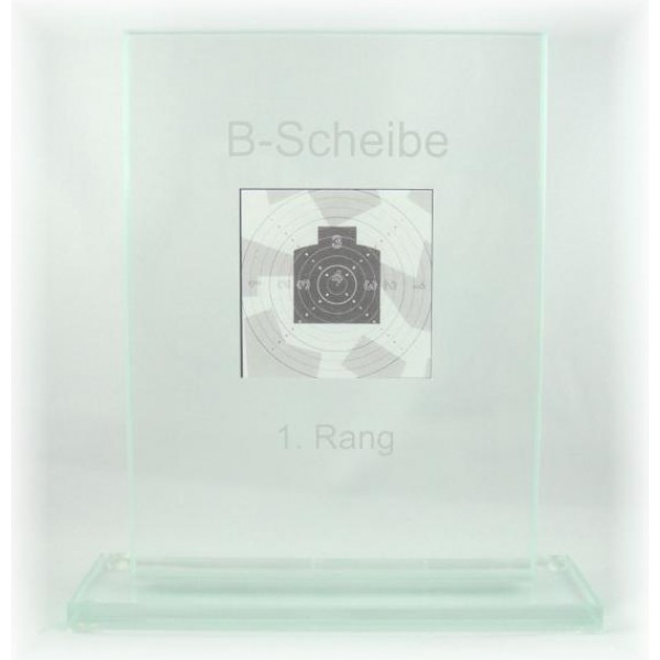 Clear Acrylic Circle Trophy