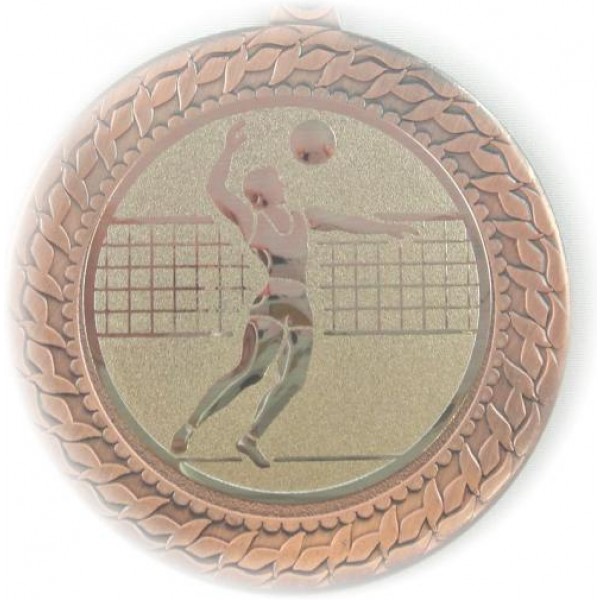 Medaille Volleyball