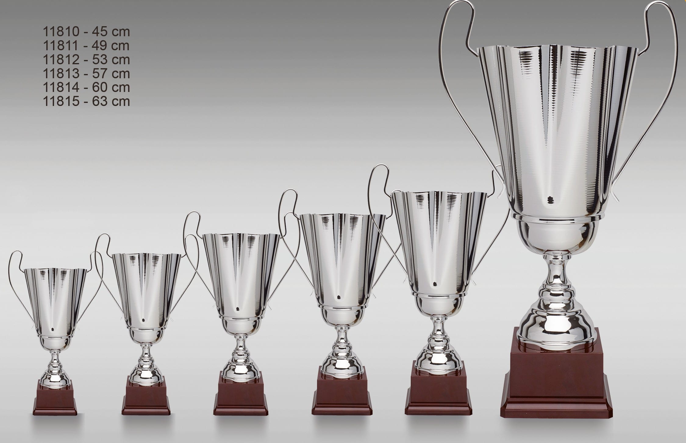 Pokal ZS-1181