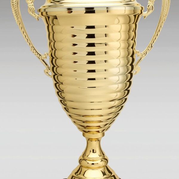 Pokal ZS-11950 mit Deckel