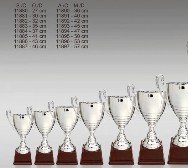 Pokal ZS-11880