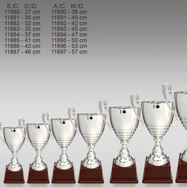 Pokal ZS-11880