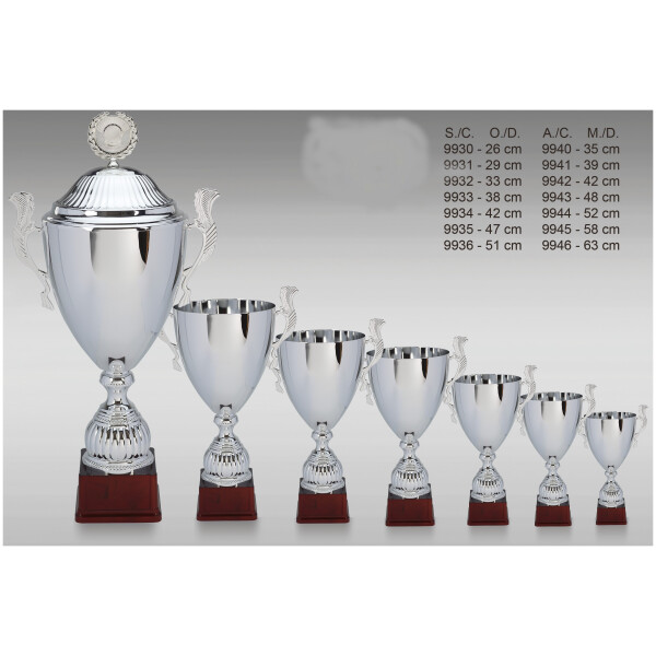 Pokal ZS-9930