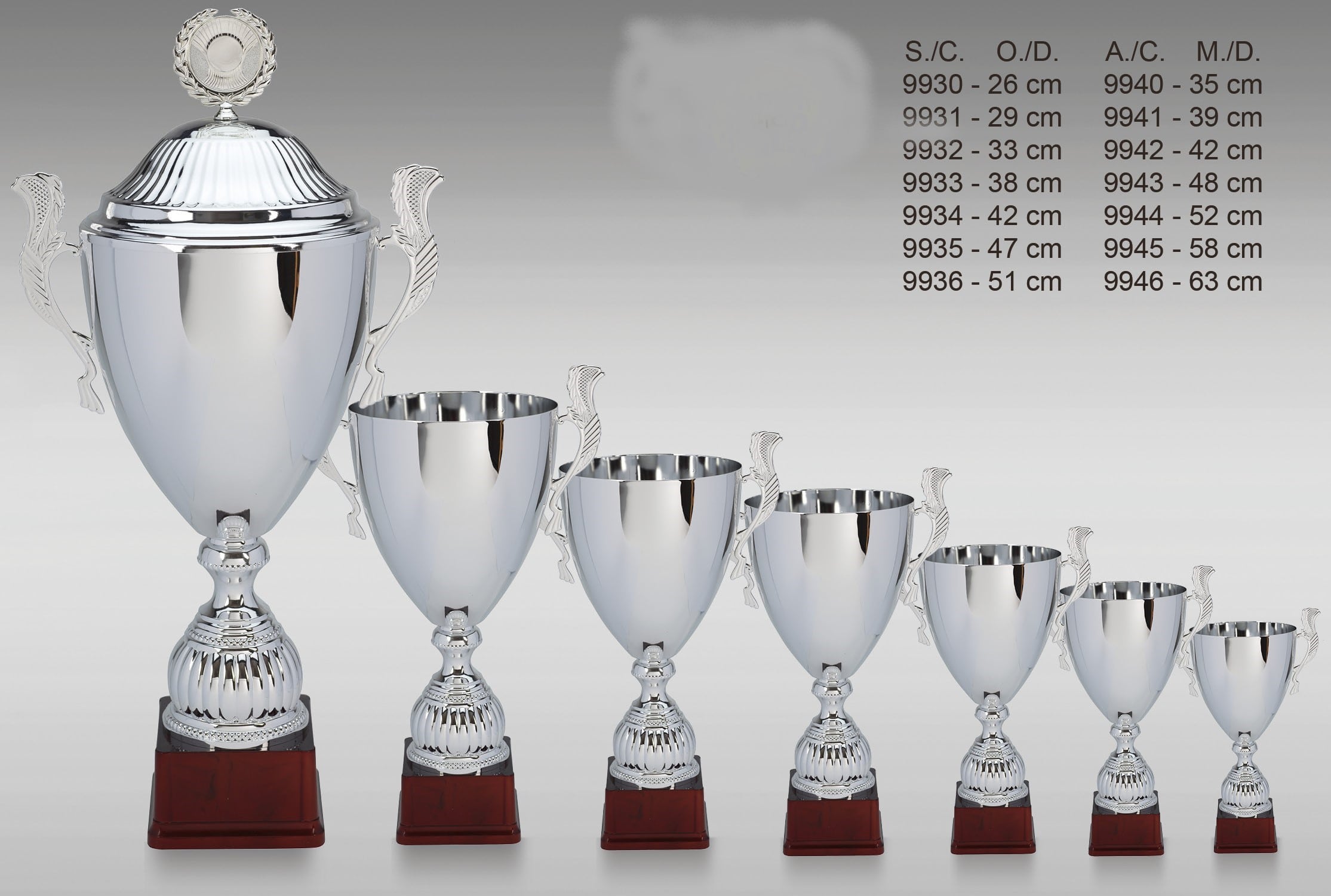 Pokal ZS-9930