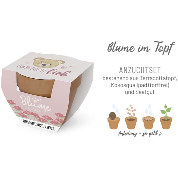 Blume im Topf - Hab dich lieb