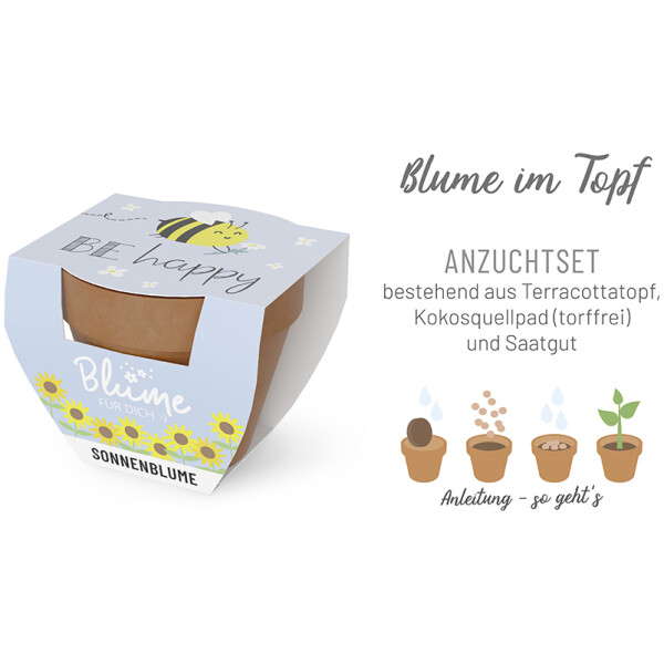 Sonnenblume im Topf - be happy